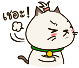 Fragile Bear & Angry Cat sticker #12678540