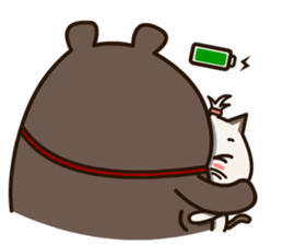 Fragile Bear & Angry Cat sticker #12678543