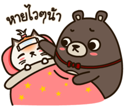 Fragile Bear & Angry Cat sticker #12678551