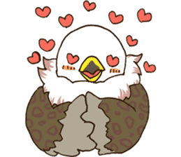 WASHA sticker #12681031