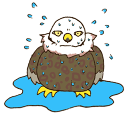 WASHA sticker #12681032