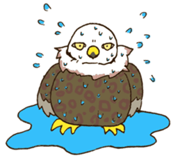 WASHA sticker #12681032