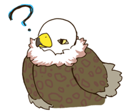 WASHA sticker #12681038