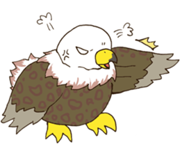 WASHA sticker #12681060