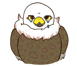 WASHA sticker #12681061