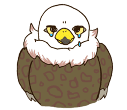 WASHA sticker #12681061