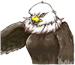 WASHA sticker #12681065