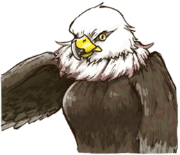 WASHA sticker #12681065