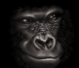 Gorilla of the darkness sticker #12681358