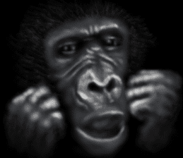 Gorilla of the darkness sticker #12681366