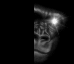 Gorilla of the darkness sticker #12681367