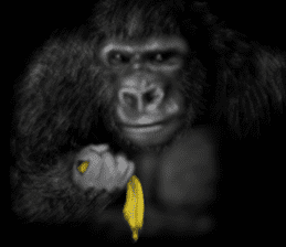 Gorilla of the darkness sticker #12681369