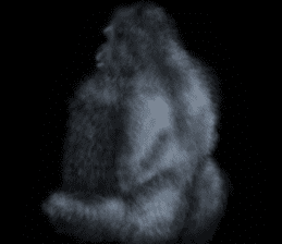 Gorilla of the darkness sticker #12681373