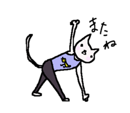 Cat, master yoga sticker #12684368