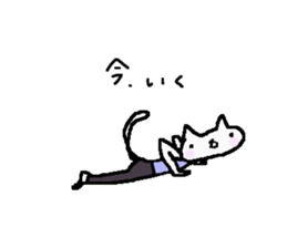 Cat, master yoga sticker #12684372