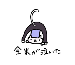 Cat, master yoga sticker #12684395