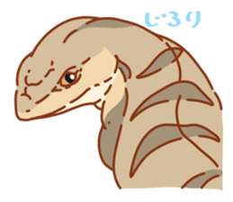 Blue Tongue Skink sticker #12684484