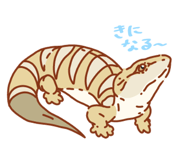 Blue Tongue Skink sticker #12684491