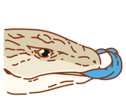Blue Tongue Skink sticker #12684493