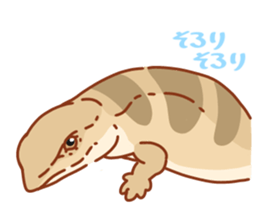 Blue Tongue Skink sticker #12684499