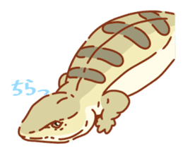 Blue Tongue Skink sticker #12684500