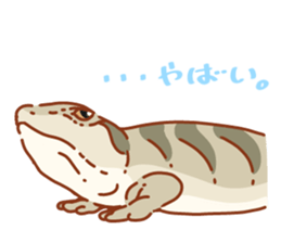 Blue Tongue Skink sticker #12684501