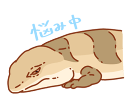 Blue Tongue Skink sticker #12684506