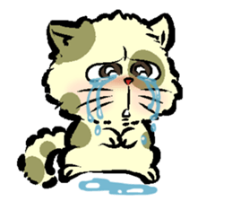 GangMeaw sticker #12686656