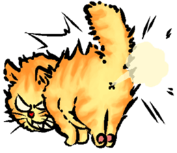 GangMeaw sticker #12686692