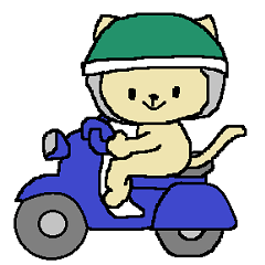 Daily life of a naughty kitten5