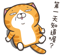 The Haughty Smelly Cat 5 sticker #12689213