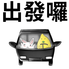 white ball rabbit family-outside