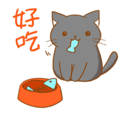 magic cats sticker #12691451