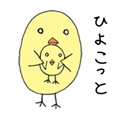 Hiyocott Bird