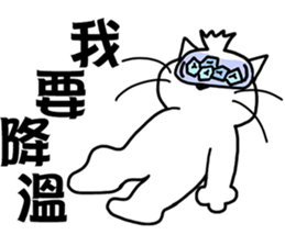 arrogant cat 2-Summer daily conversation sticker #12693614