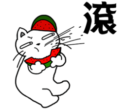 arrogant cat 2-Summer daily conversation sticker #12693617