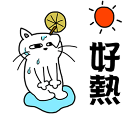 arrogant cat 2-Summer daily conversation sticker #12693635