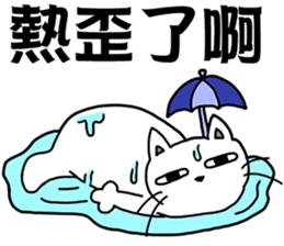 arrogant cat 2-Summer daily conversation sticker #12693637