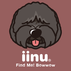 iinu - Tibetan Terrier
