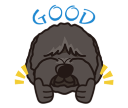 iinu - Tibetan Terrier sticker #12694714