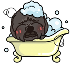 iinu - Tibetan Terrier sticker #12694728