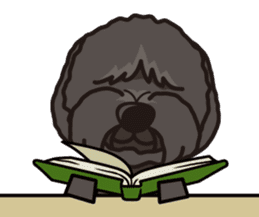 iinu - Tibetan Terrier sticker #12694744