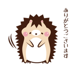 Pochi child Mottyosan of the hedgehog sticker #12695659