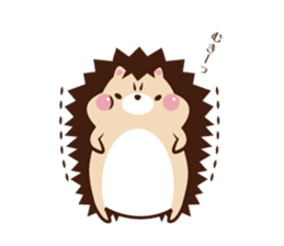 Pochi child Mottyosan of the hedgehog sticker #12695663