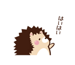 Pochi child Mottyosan of the hedgehog sticker #12695670