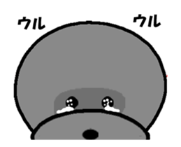 Moving graydog sticker #12699241