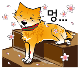 HAPPY DORRY sticker #12702303