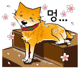 HAPPY DORRY sticker #12702303