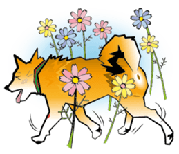 HAPPY DORRY sticker #12702306