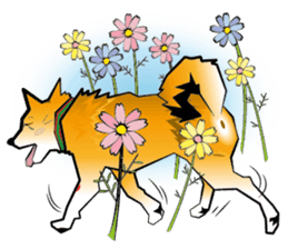 HAPPY DORRY sticker #12702306